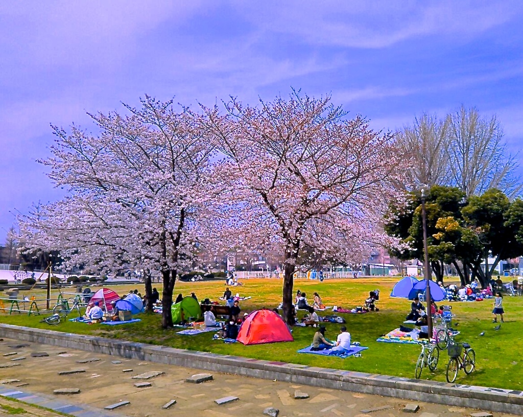 日本の風景②