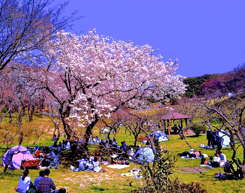 日本の風景