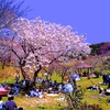 日本の風景