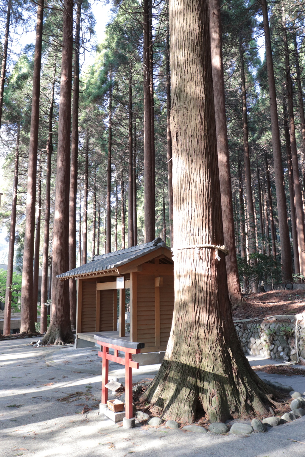 日本の風景0410②