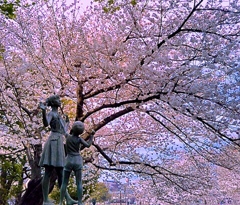 桜の木の下で‥…。