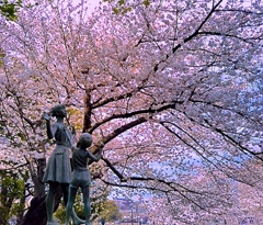 桜の木の下で‥…。
