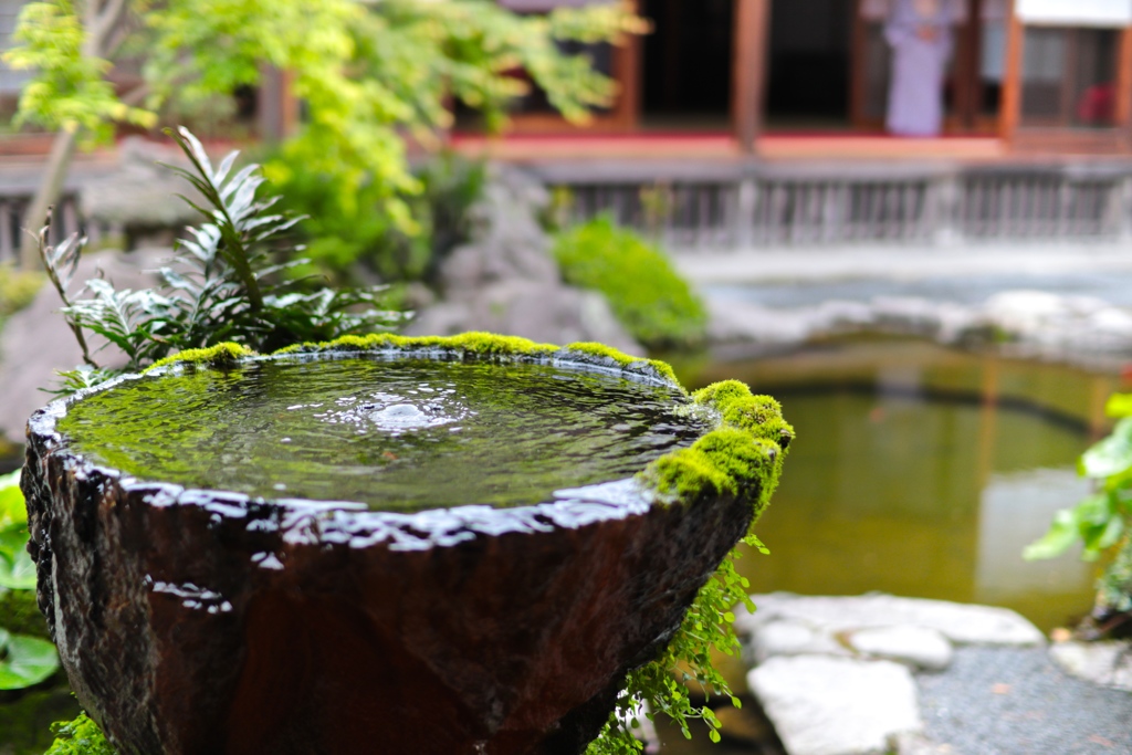 日本庭園