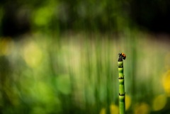040D0FBC-B379-492C-BDB6-1CC3E1E414D8