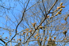 頑張れ　あと少し