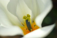 公園で