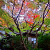 京の秋・八瀬 瑠璃光院①
