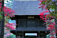 野火止平林寺山門