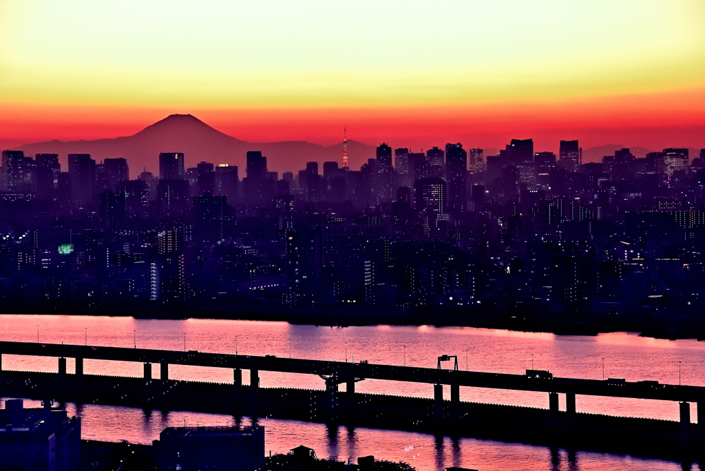 東京タワーです　富士山です