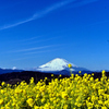 富士は日本一の山