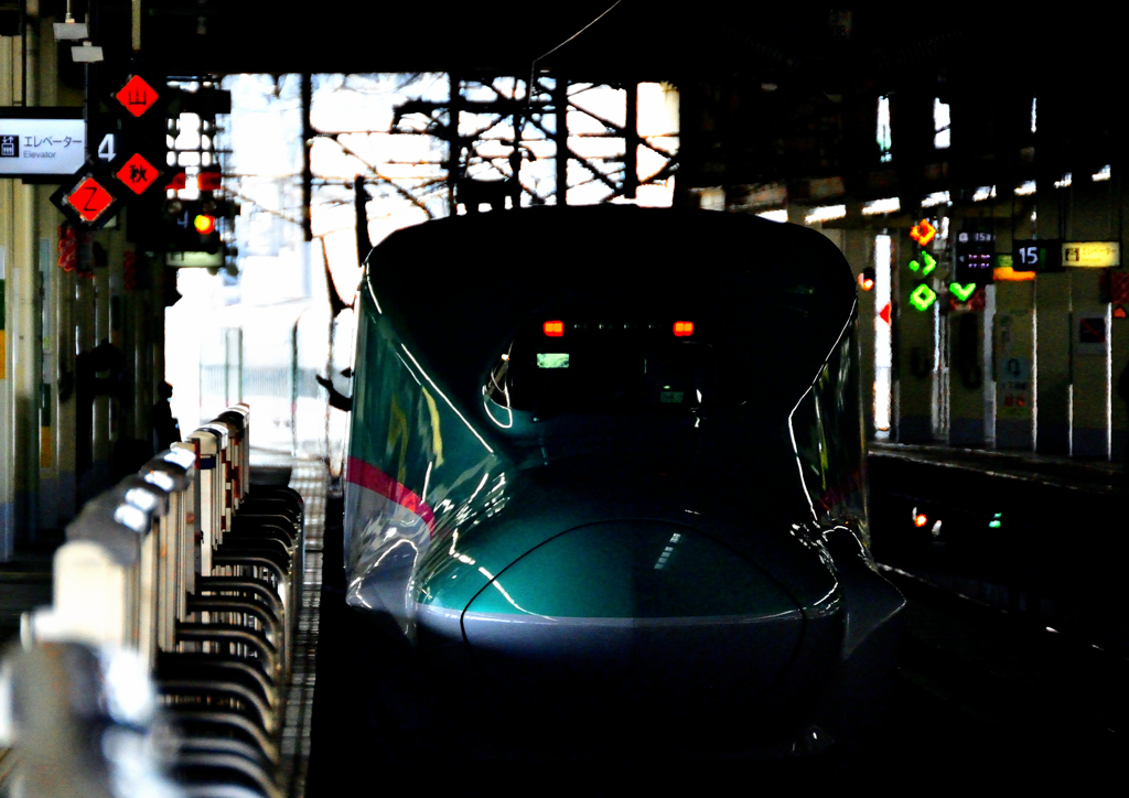 新幹線E5系(大宮駅)
