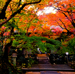 京の秋・嵯峨 常寂光寺