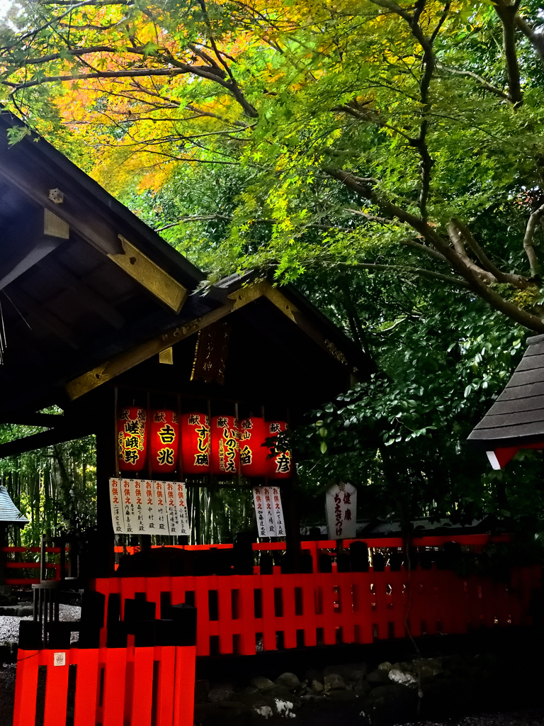 京の秋・嵯峨 野宮神社