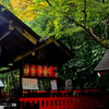 京の秋・嵯峨 野宮神社