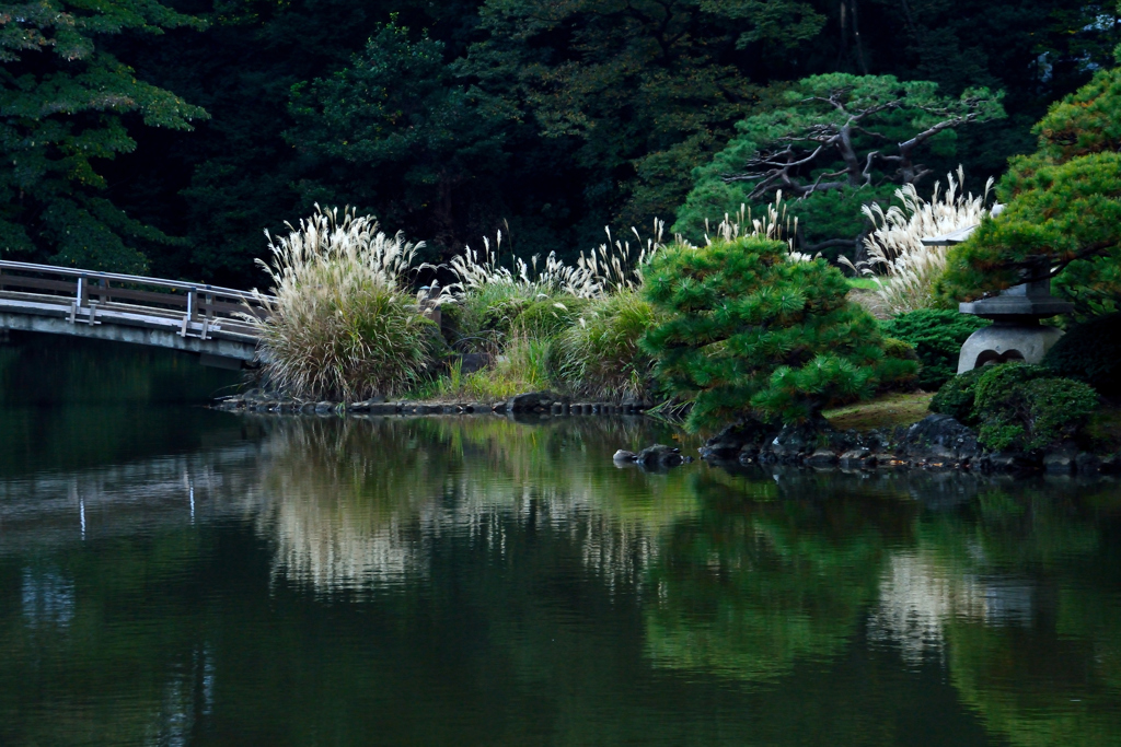 日本庭園・秋