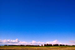 秋の大空