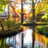 平林寺 紅葉 ③