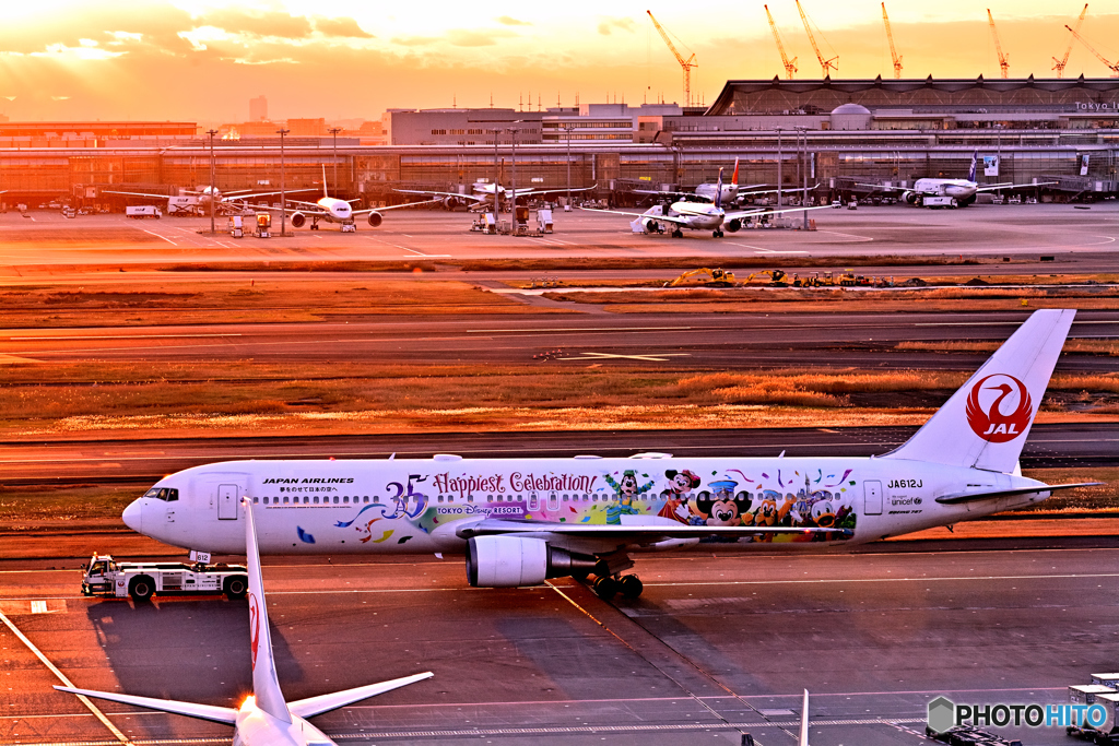 羽田空港夕景(3)