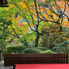 京の秋・大原 寂光院②