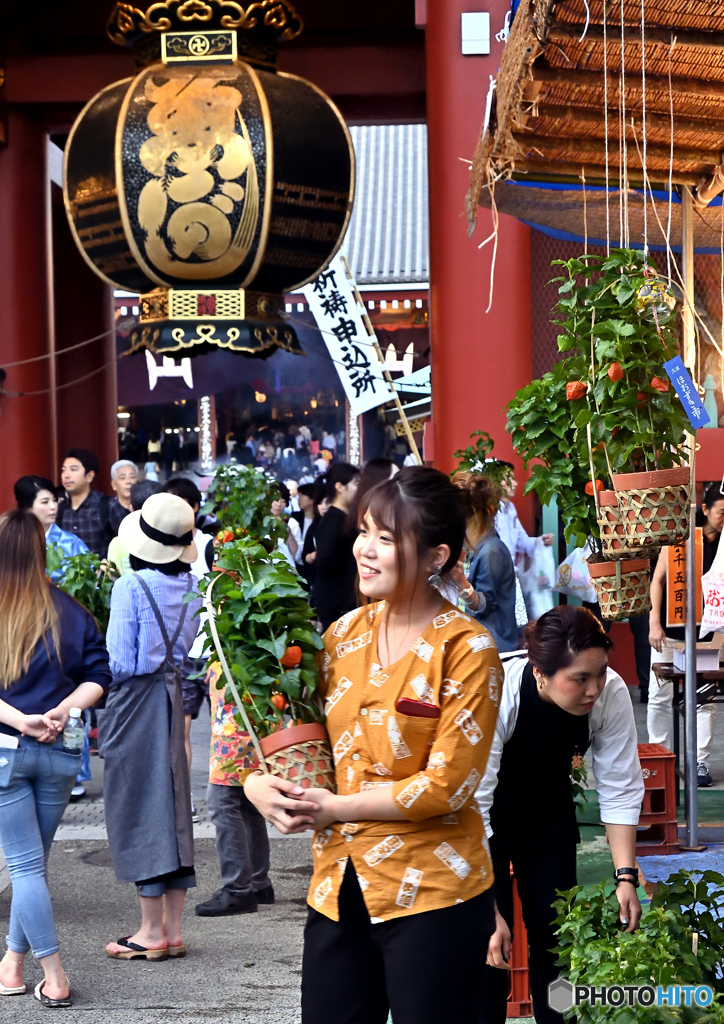 ほおずき市・浅草寺