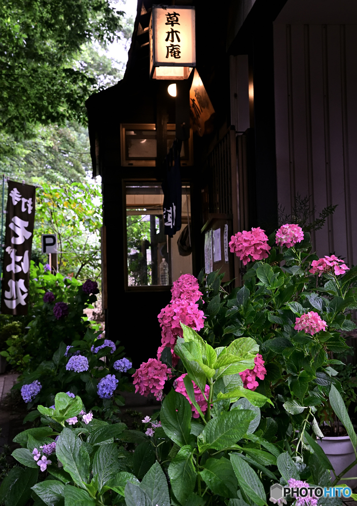 そば処・紫陽花