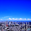 夏空・東京タワーのある風景(3)