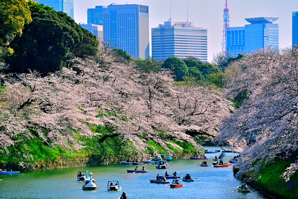 大東京のオアシス