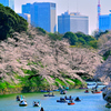 大東京のオアシス