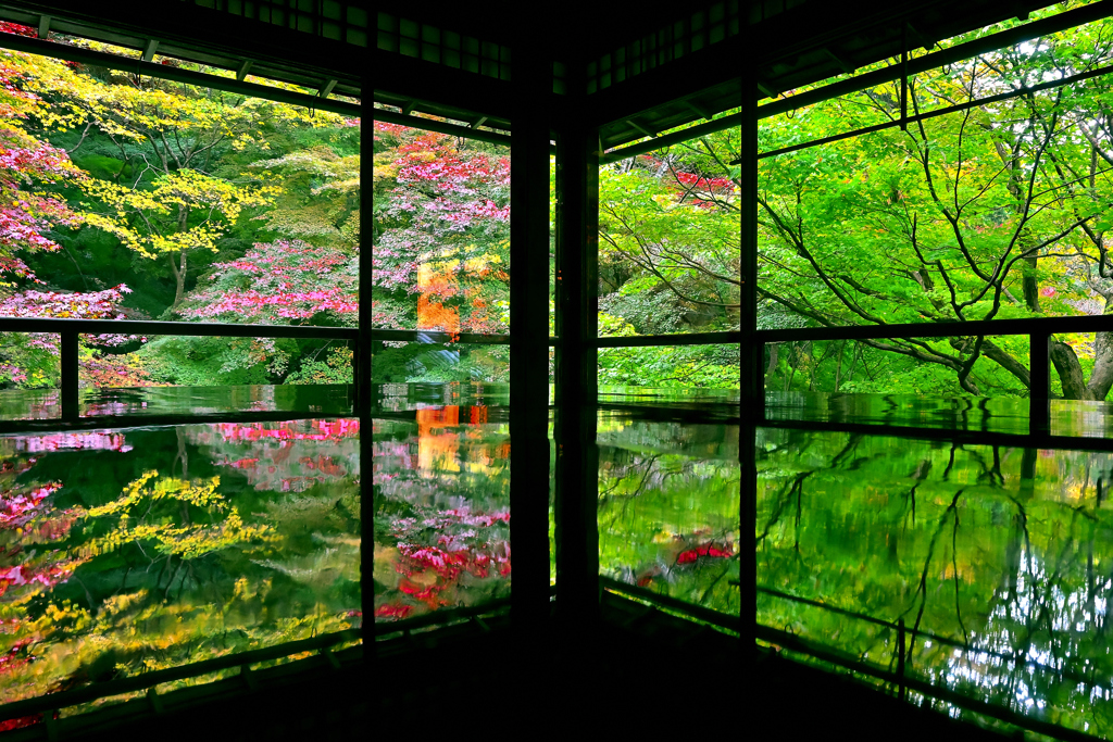 京の秋・八瀬 瑠璃光院③