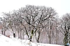 陣馬山頂・春の雪