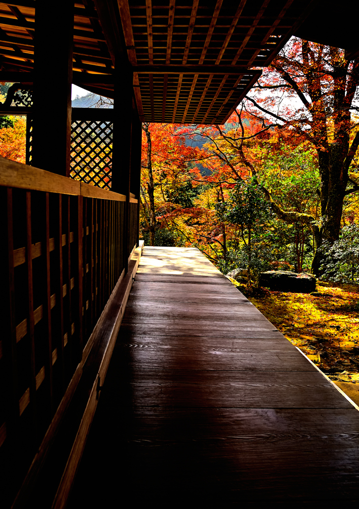 京の秋・栂尾山高山寺②