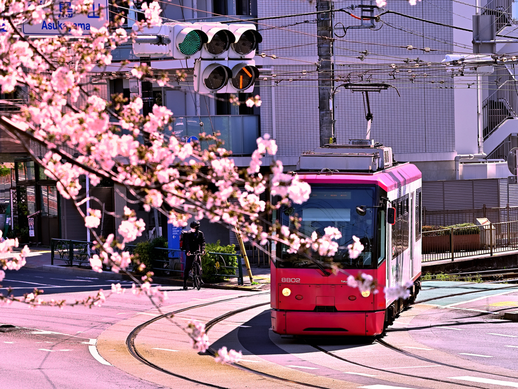 東京さくらトラム
