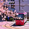 東京さくらトラム