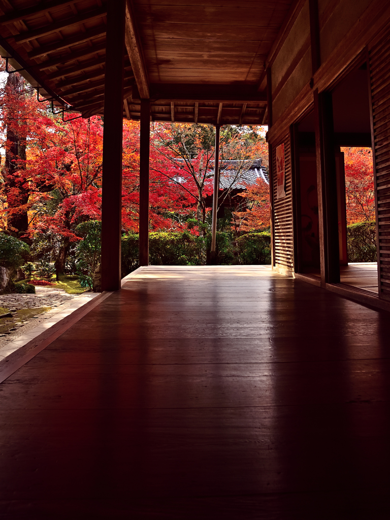 京の秋・槙尾山西明寺②