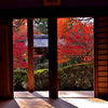 京の秋・槙尾山西明寺①