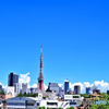 夏空・東京タワーのある風景(1)