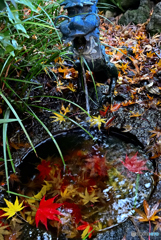 手水鉢の紅葉(本土寺の紅葉2019③)