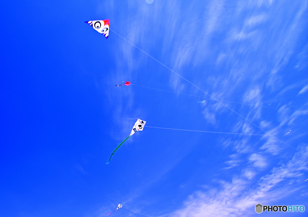 空を飛び風に舞う