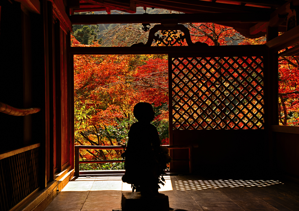 京の秋・栂尾山高山寺⓵
