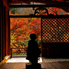 京の秋・栂尾山高山寺⓵