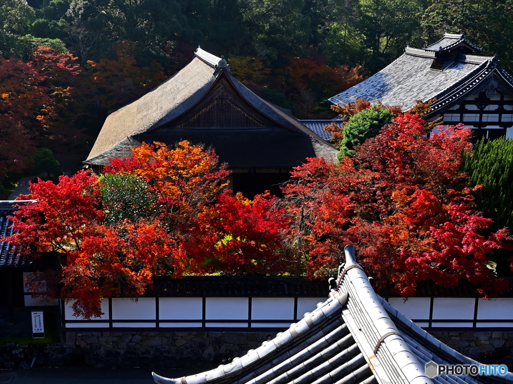 秋の絶景かな絶景かな(南禅寺三門楼上)