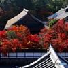 秋の絶景かな絶景かな(南禅寺三門楼上)