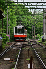 箱根登山電車・スイッチバック