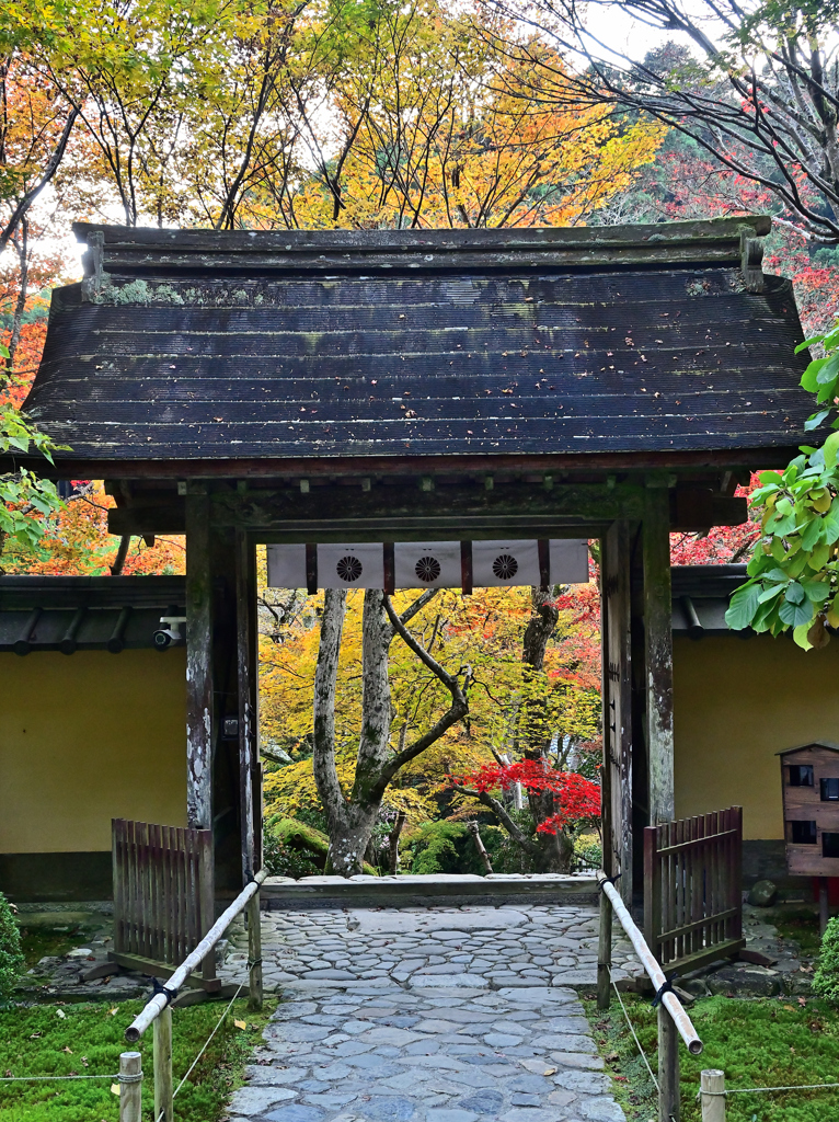 京の秋・大原 寂光院①