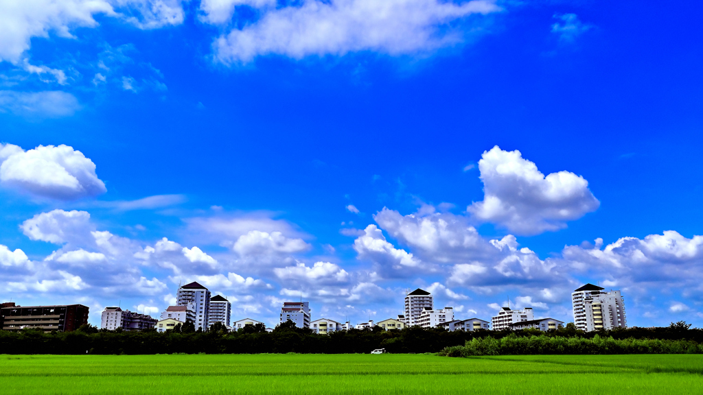 夏空＠地元