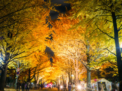 黄葉祭