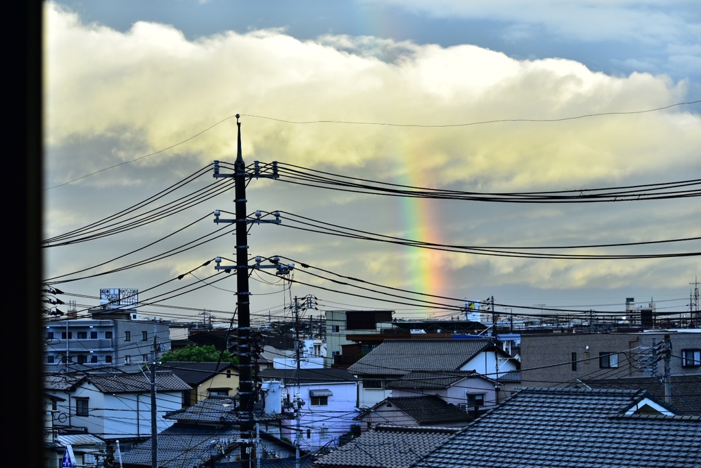 雨上がりの虹