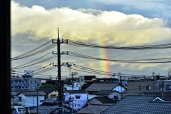 雨上がりの虹