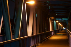橋と夜景②