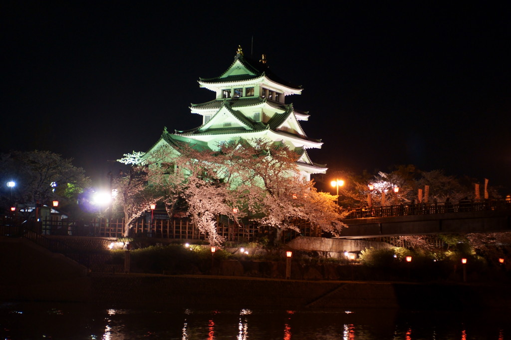 夜桜